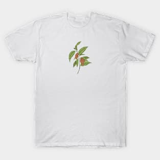 Cocoa Plant Botanical T-Shirt